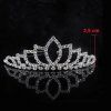Korunka strieborná 6