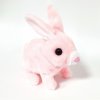 Chodiaci zajačik ružový1