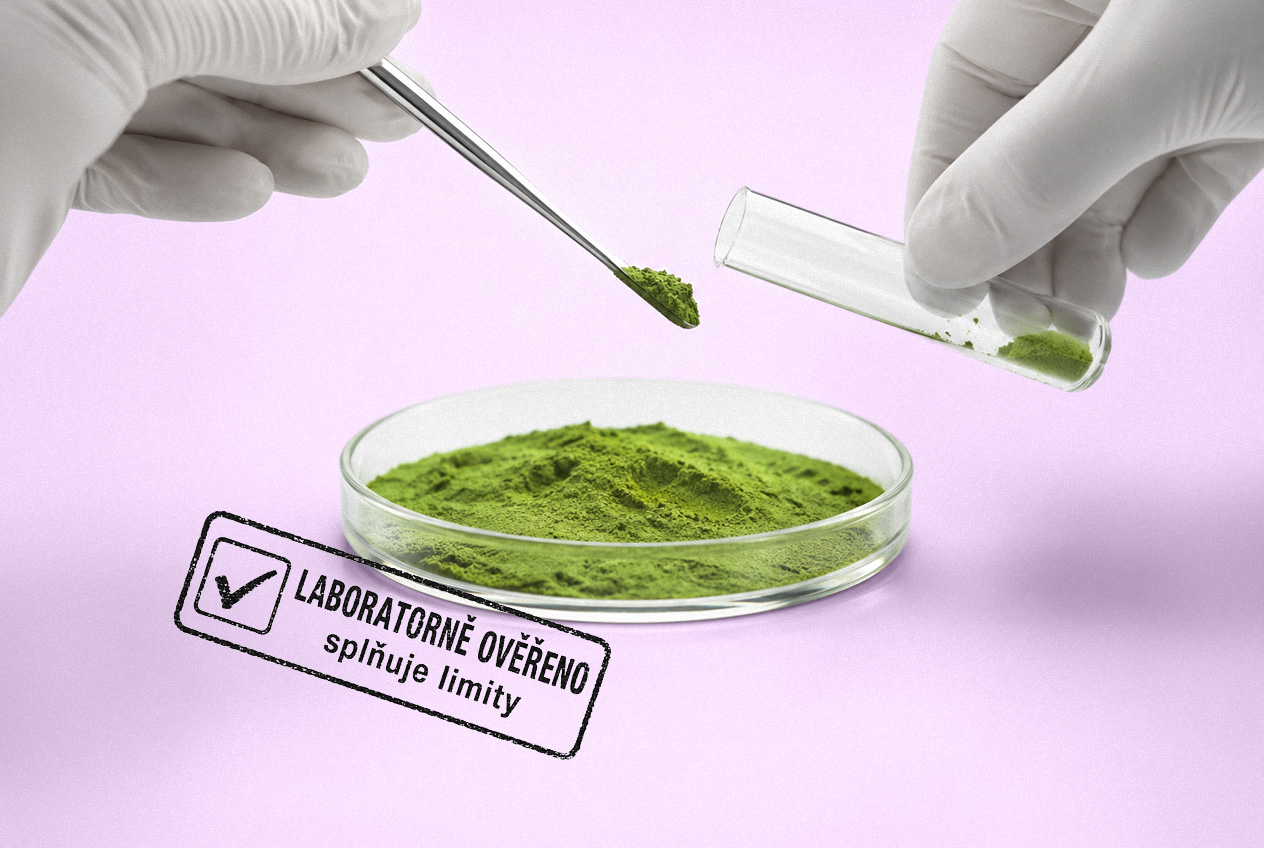 Testy čaje matcha