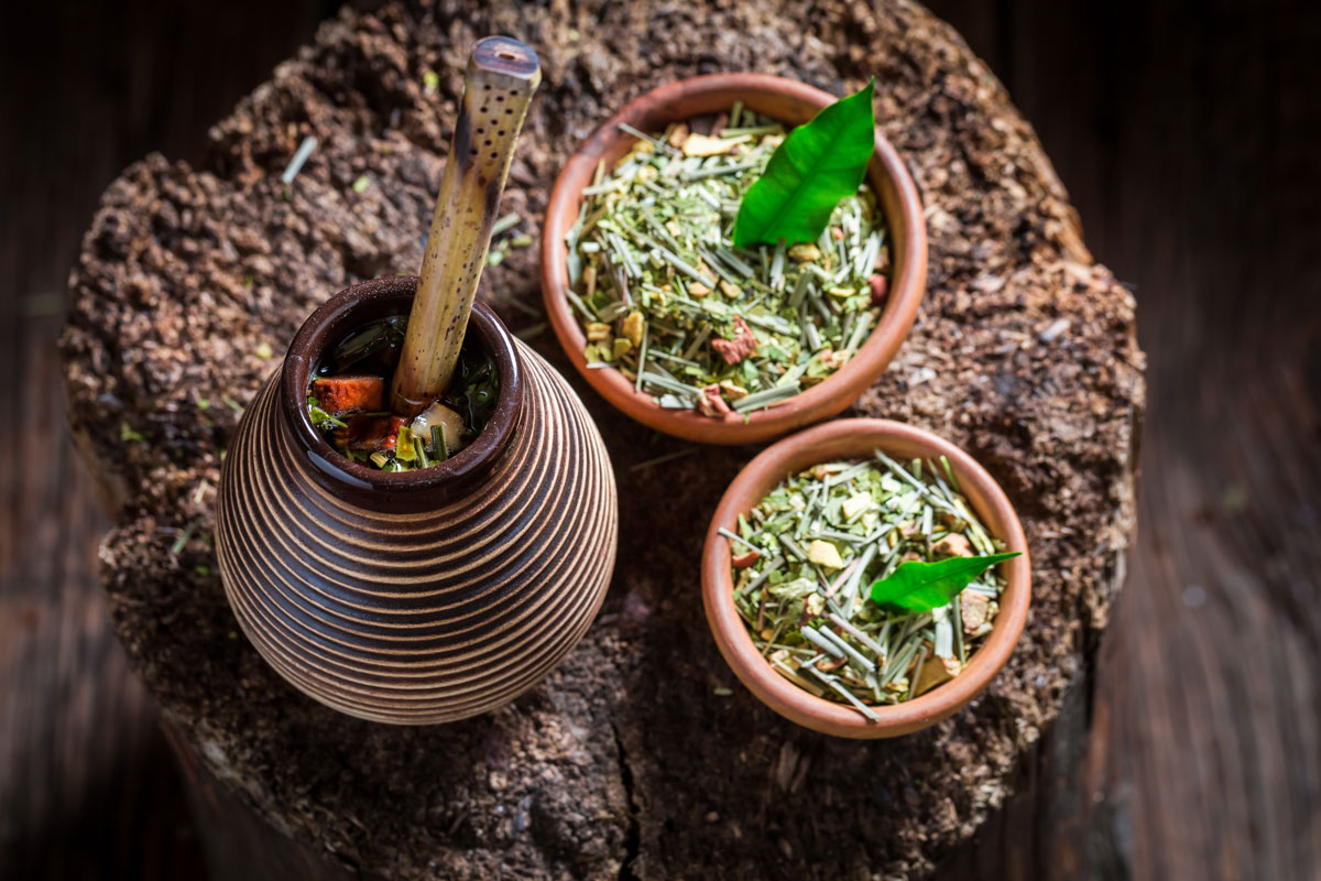 Yerba maté účinky: Nápoj plný zdravia alebo nebezpečný zabijak?