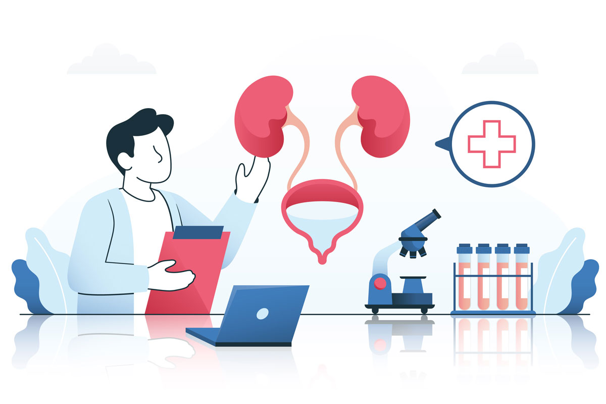 Prírodné antibiotikum na močové cesty: Bylinky na časté močenie