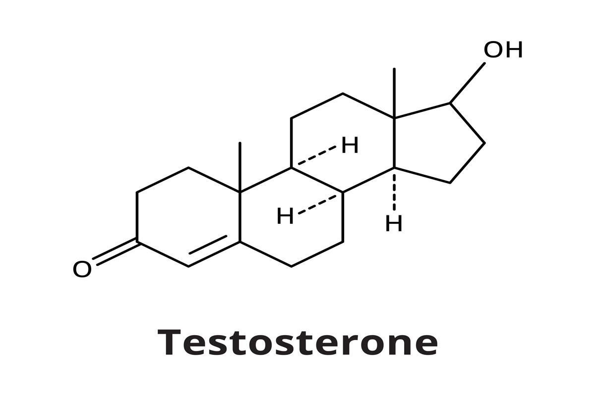 Testosterón: Prečo je dôležitý a ako ho úspešne zvýšiť?