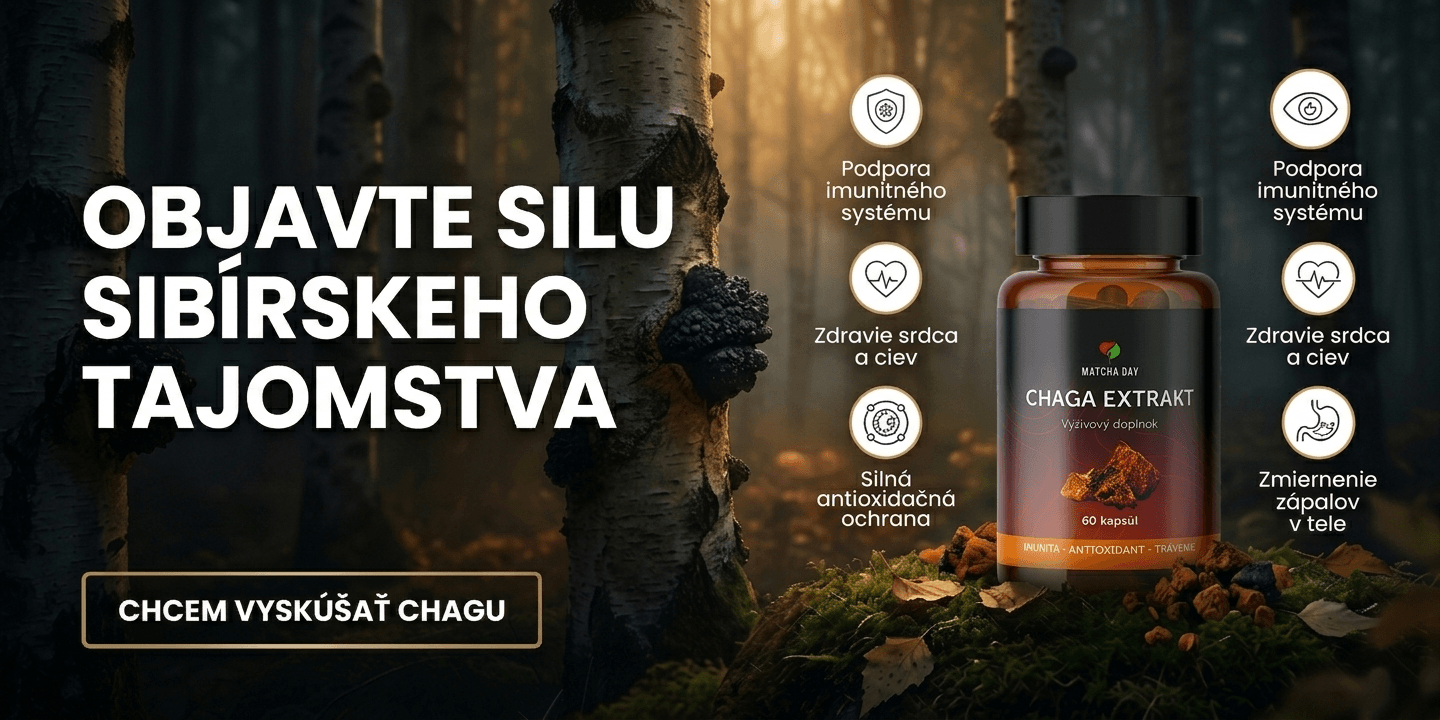 Chaga extrakt