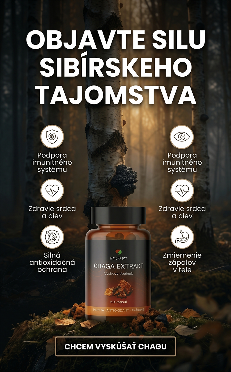 Chaga extrakt