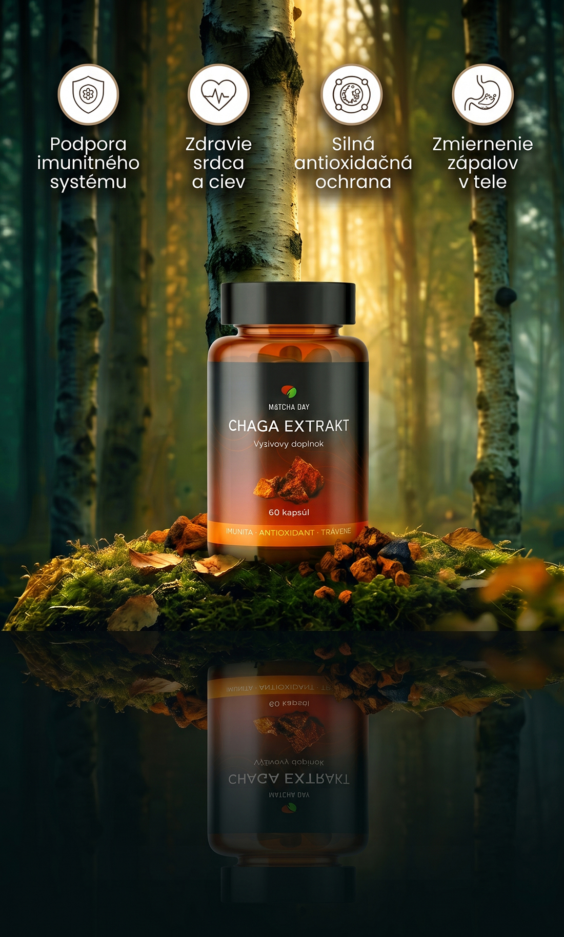 Chaga extrakt