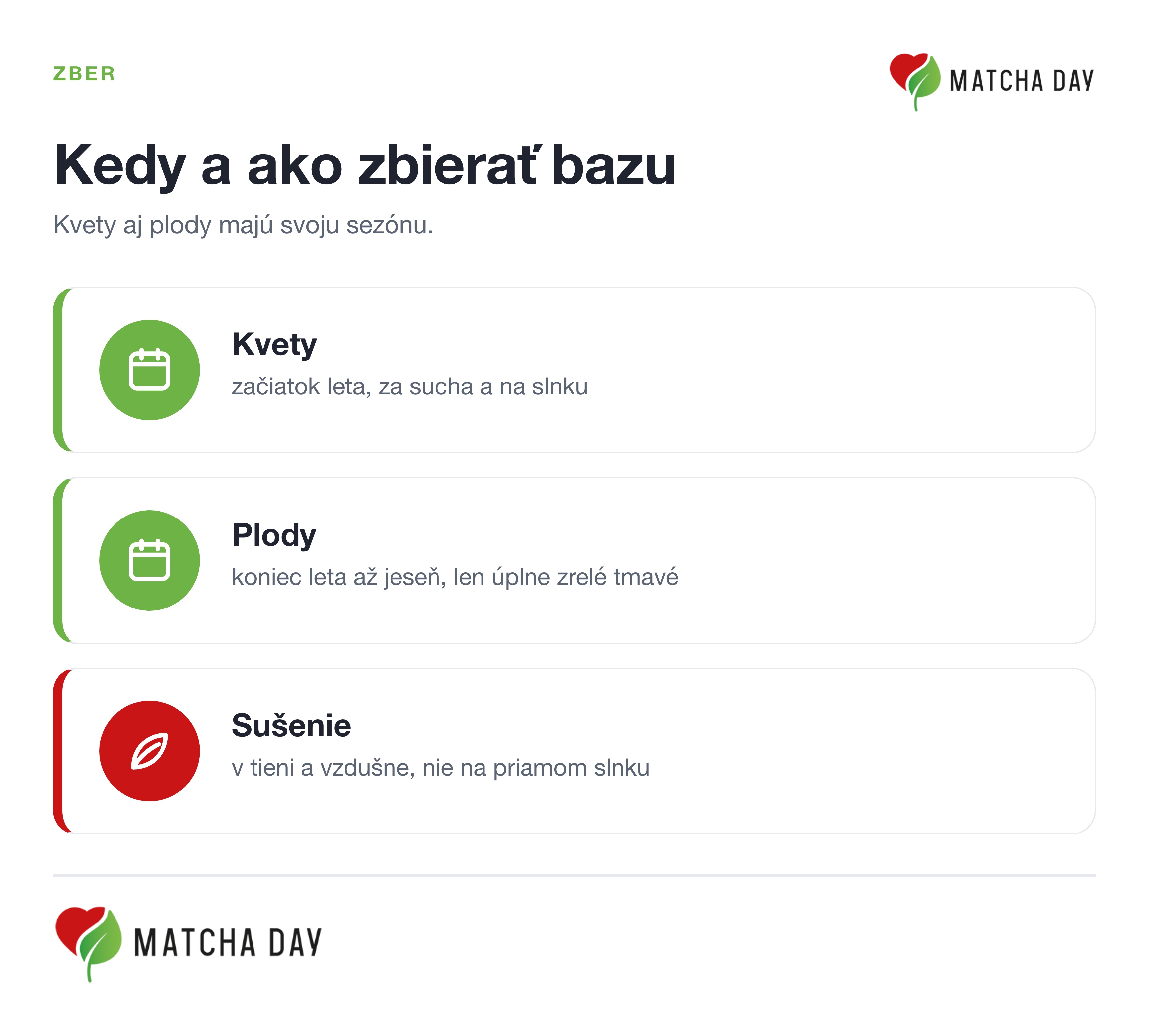 Infografika zberu bazy: kvety na začiatku leta za sucha, plody koncom leta až jeseň len úplne zrelé tmavé, sušenie v tieni a vzdušne.