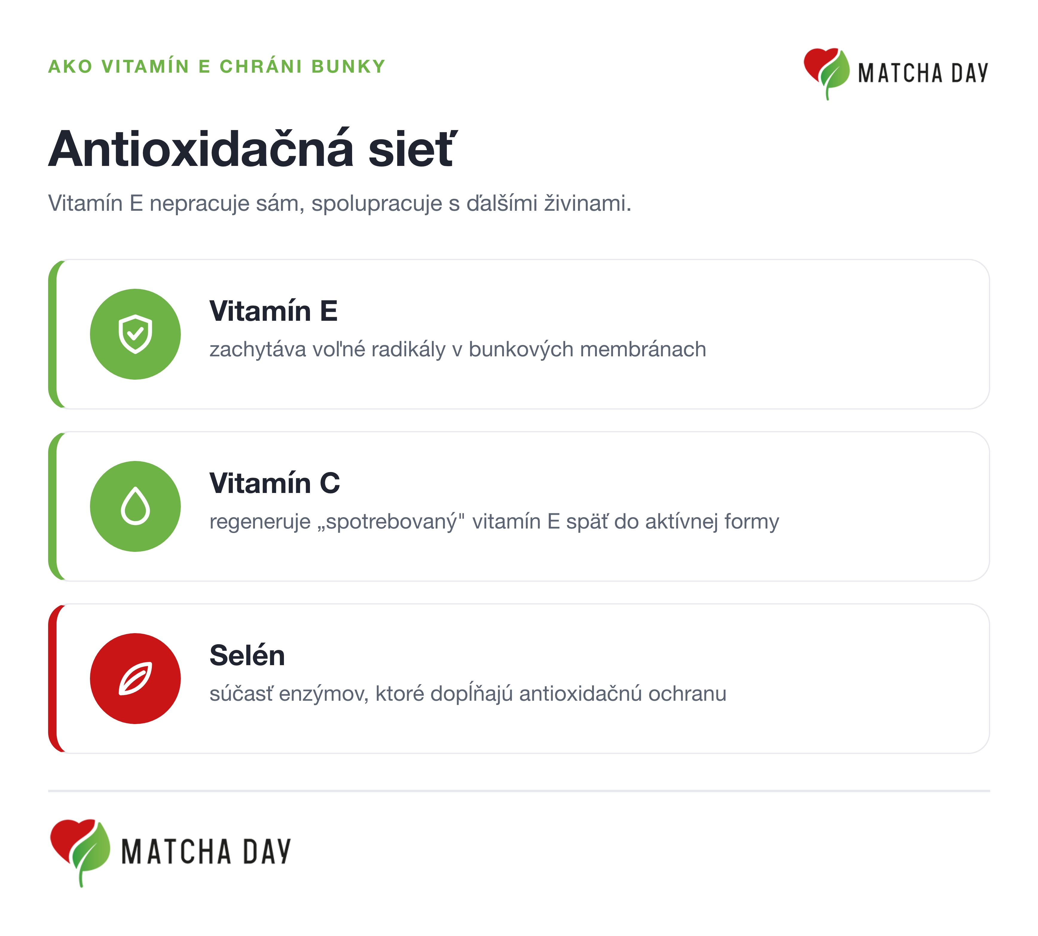 Infografika antioxidačnej siete: vitamín E zachytáva voľné radikály, vitamín C ho regeneruje a selén dopĺňa ochranu cez enzýmy.