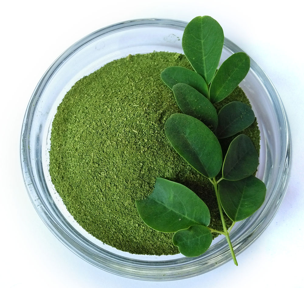 Moringa_web