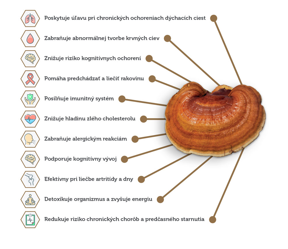 Reishi-zmenšené