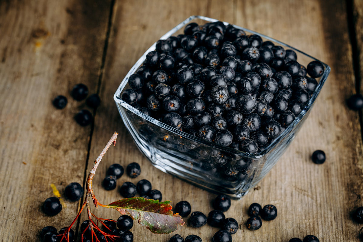 aronia-davkovanie