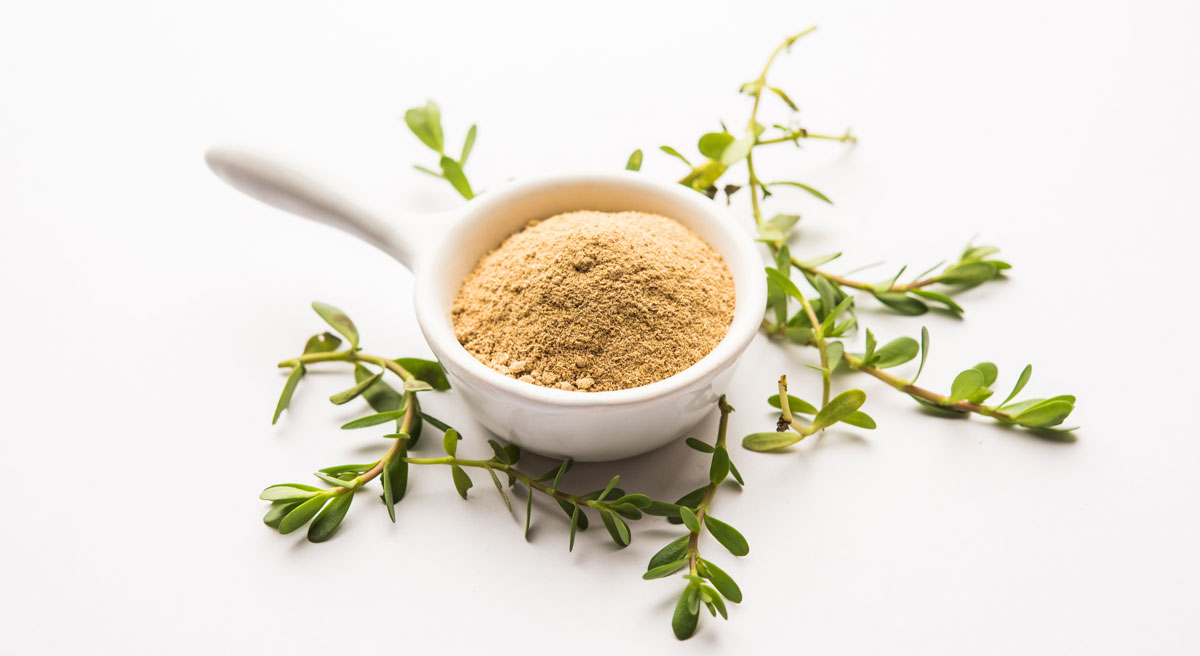 bacopa_1
