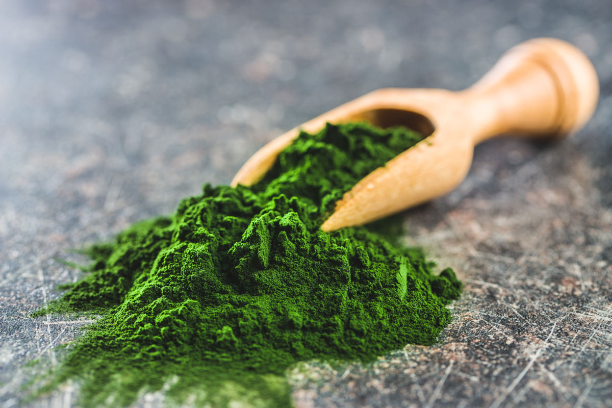 chlorella-