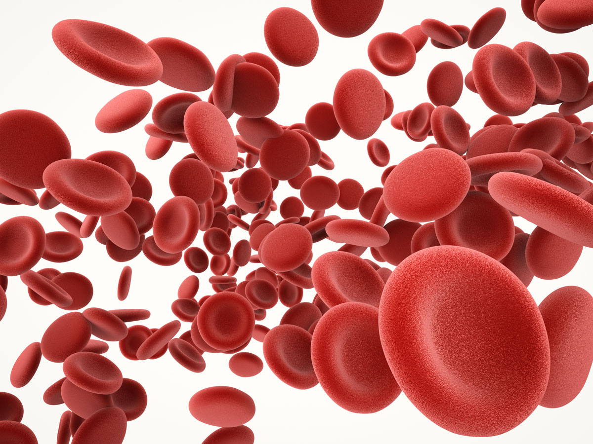 hemoglobin