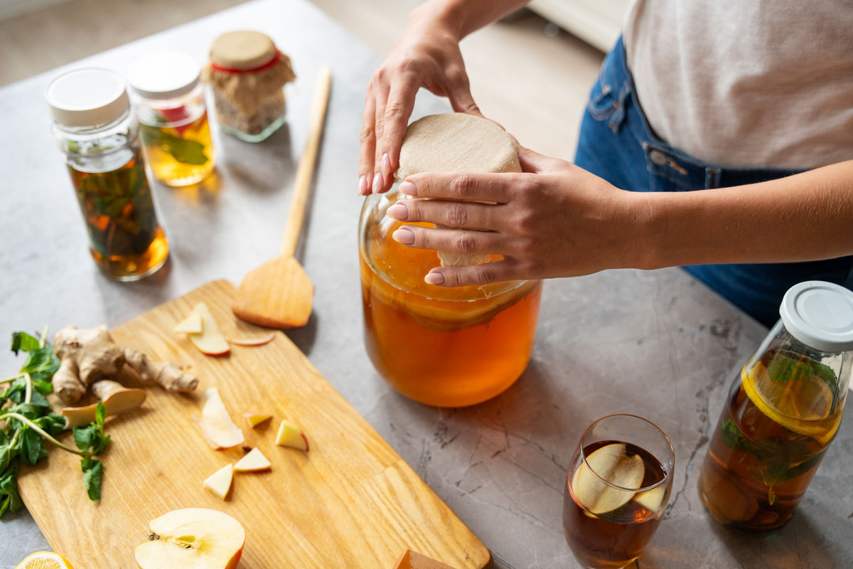 kombucha-huba
