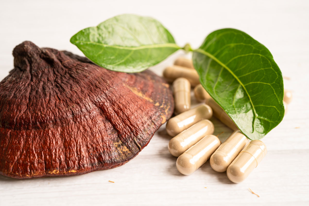 reishi-kapsule