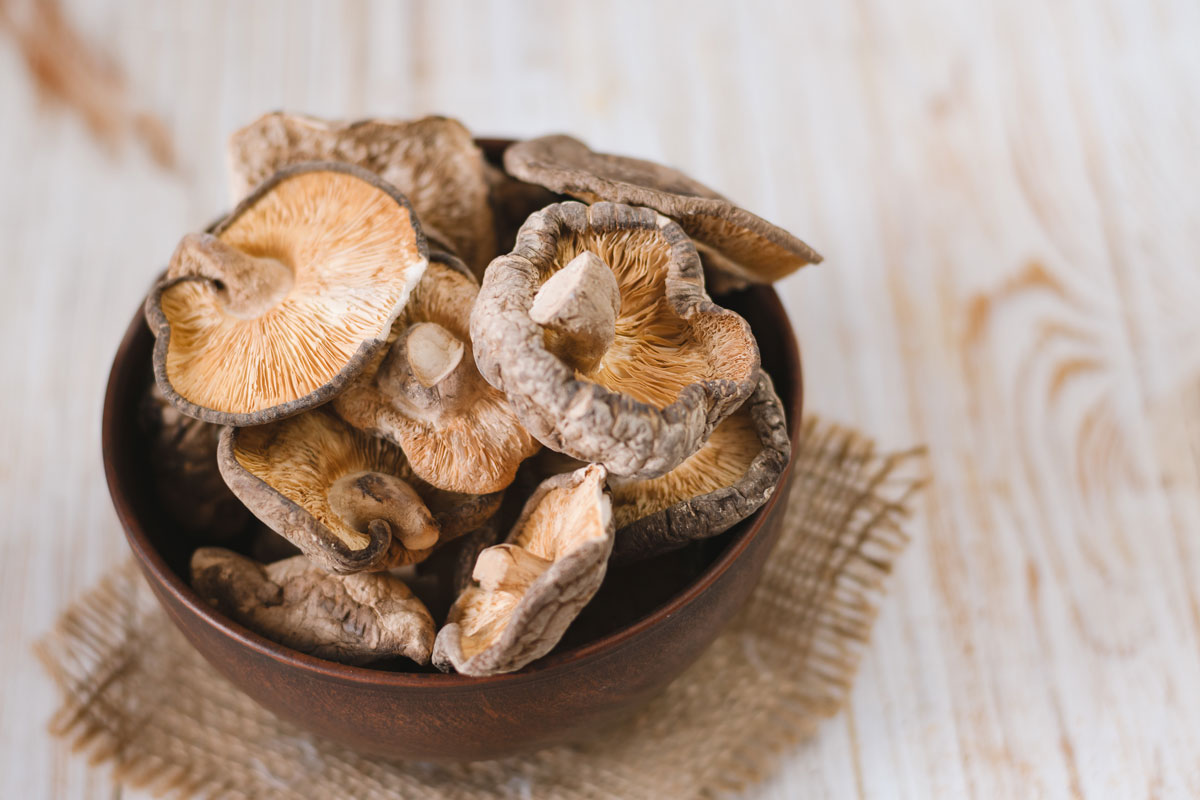 shitake