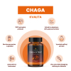 Chaga 3 final