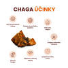 Chaga 1
