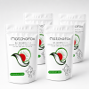 4x100g premium matcha