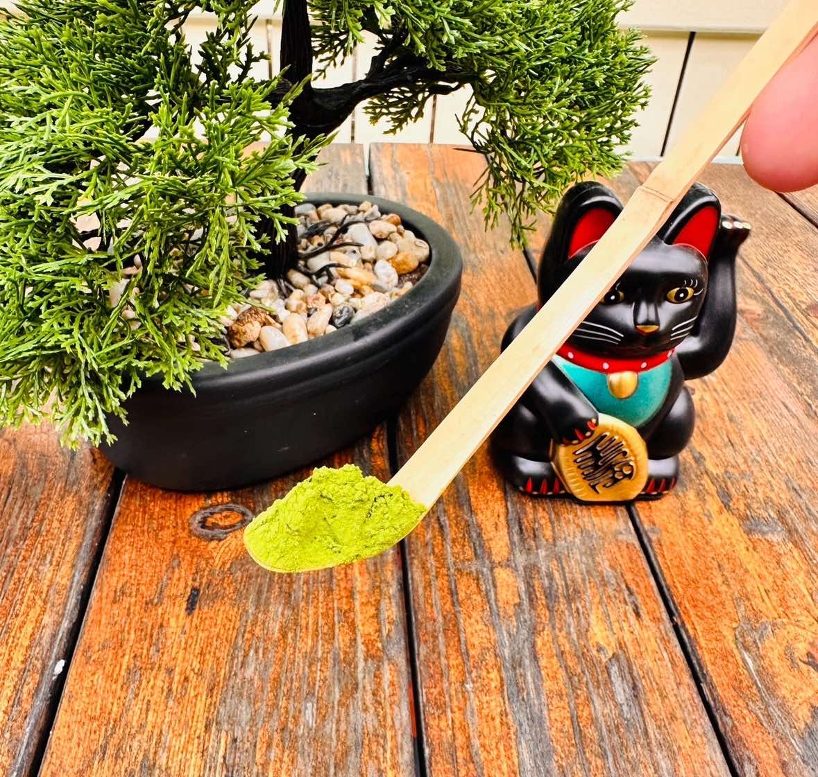 Ceremoniální Matcha