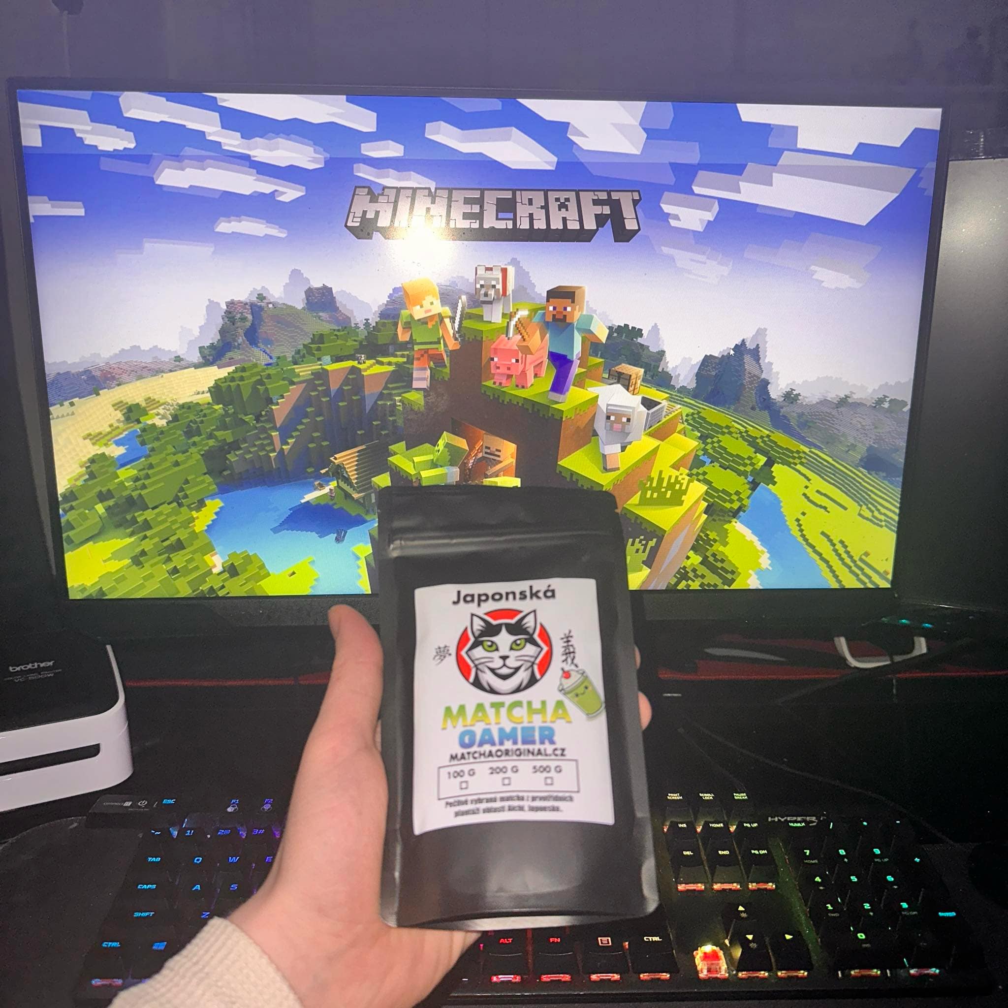 minecraft