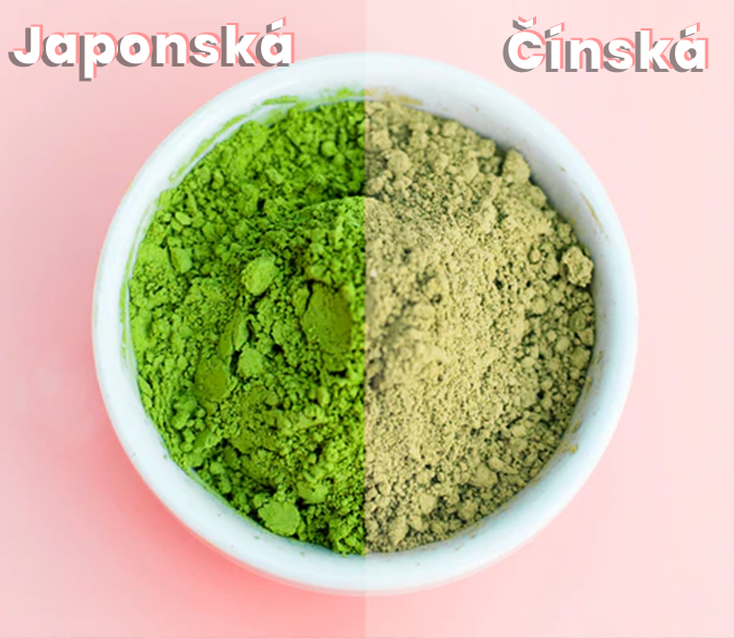 Matcha Japonská vs Čínská