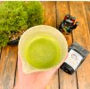 MATCHA SET SHINRIN