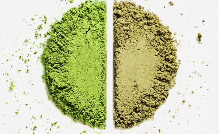 Wie erkennt man einen echten und hochwertigen Matcha Tea aus Japan?
