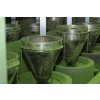 Bio Matcha Tea Harmony 30 x 2 g