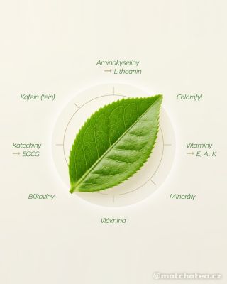 💚 Víte, co všechno obsahuje matcha? Celý list. V každém šálku. Kofein v kombinaci s L-theaninem = pozvolná, vyvážená...