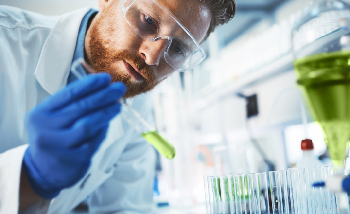 Testy Matcha Tea potvrdzujú špičkovú čistotu: japonská kvalita, ktorej môžete veriť