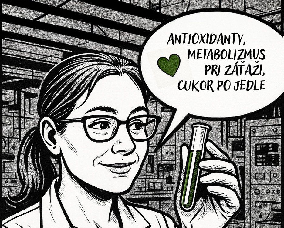 Matcha a výskum: férový sprievodca faktami