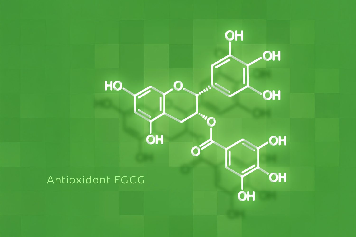 antioxidant_egcg_2025