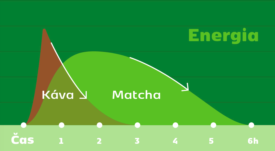 Matcha vs. Kava energia