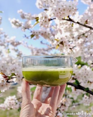Keď sa ráno prebudíš a chceš si dopriať niečo výnimočné… ☀️💚 Hmmm… matcha 🍵✨ Jemná chuť, vyvážená energia a chvíľa pokoja...