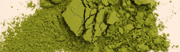 Japanese Matcha Premium and Organic