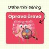 Online mini tréning