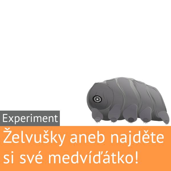 Želvušky