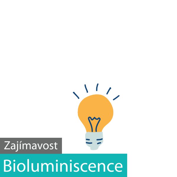 Bioluminiscence