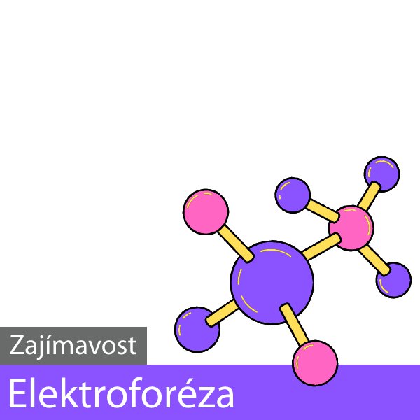 Elektroforéza