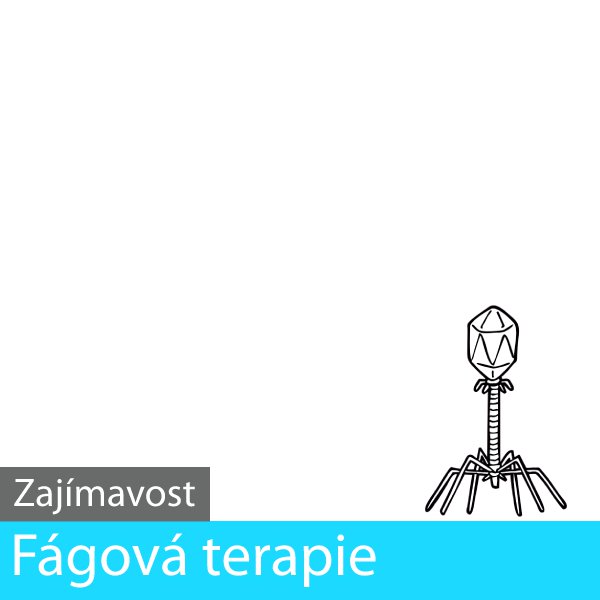 Fágová terapie