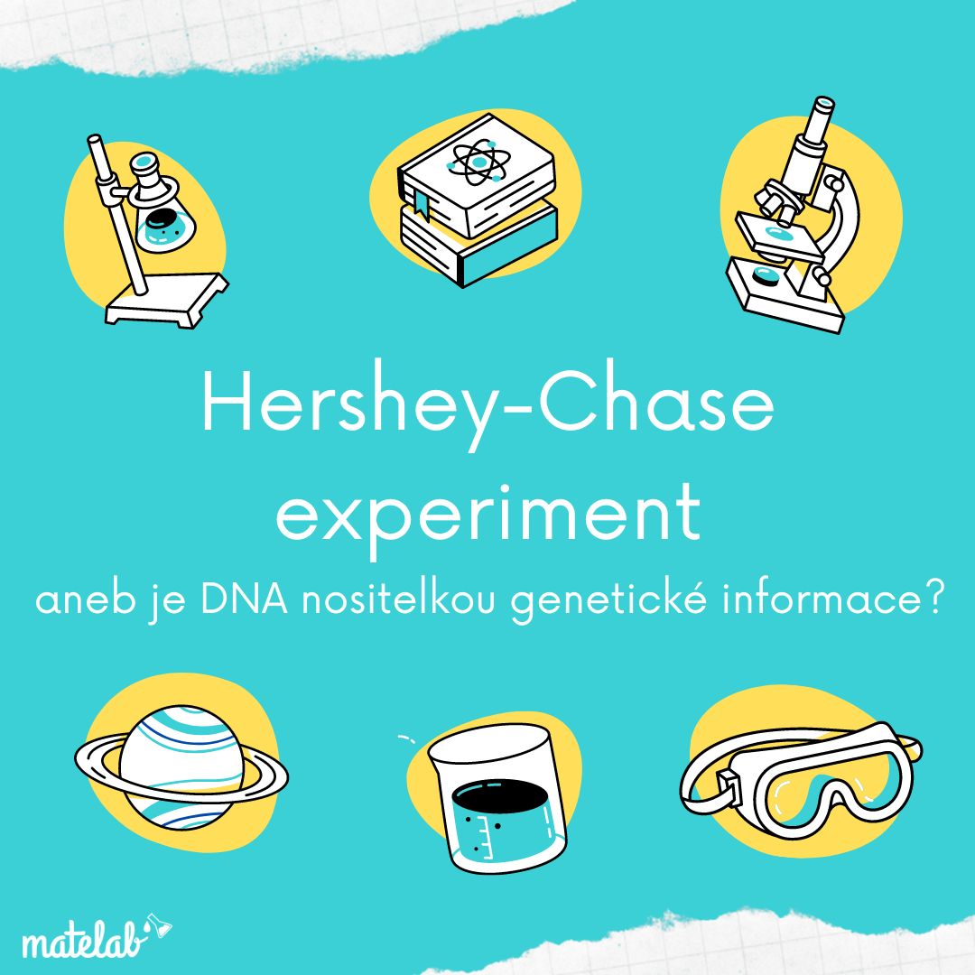 Hersheyho-Chaseové experiment