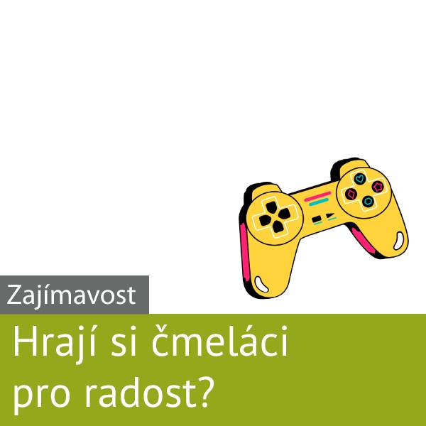 Hraví čmeláci