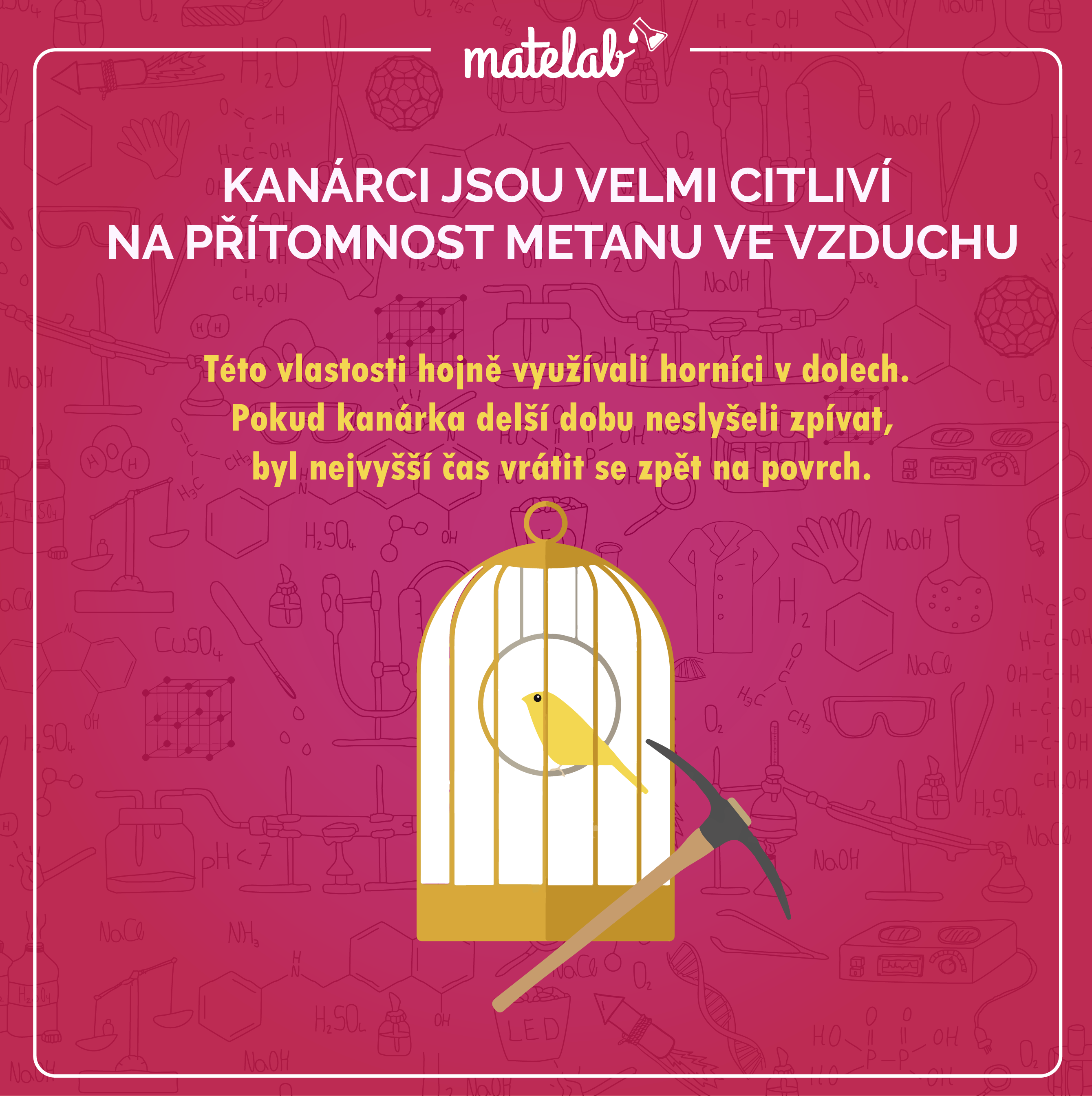 Kanárci a metan v dolech