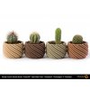 Timberfill® Light Wood Tone Rosewood Champagne Cinnamon Antoni Nosek planter