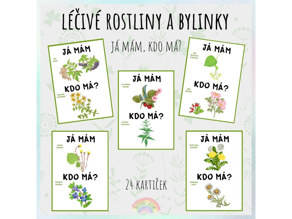 Já mám, kdo má? Léčivé rostliny a bylinky