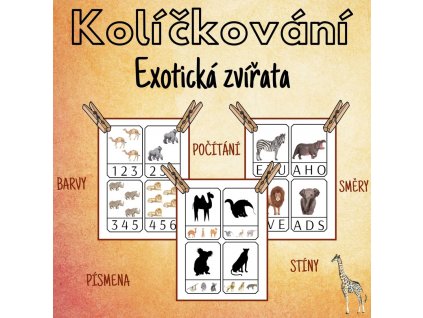 13705 41889fd5 666a 442a 91a4 411f28fceea1