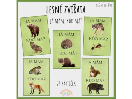 Náhledy