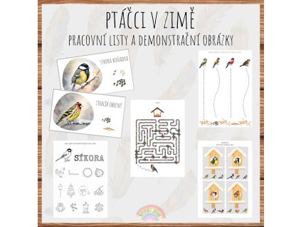 Ptáčci v zimě, demonstrační obrázky a pracovní listy