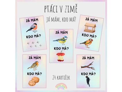 Já mám, kdo má? Ptáci v zimě